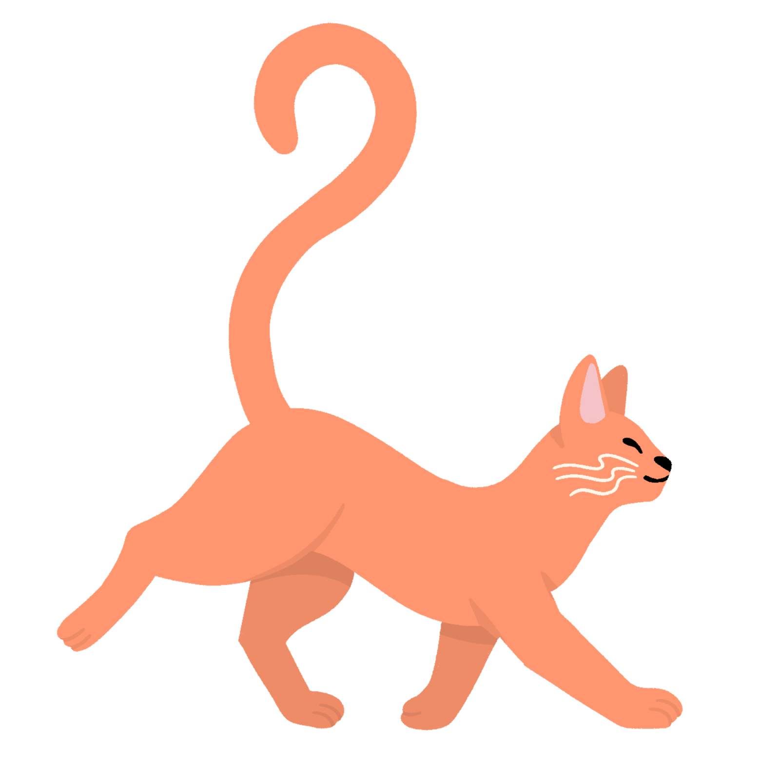 Chat